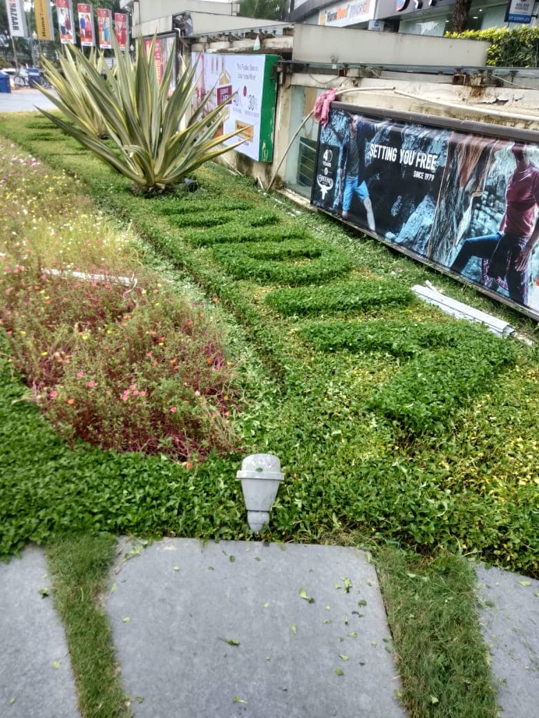 Premium Landscape Lawn Grass Grid