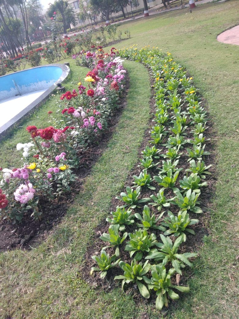 Tropical Hotel Entrance Garden