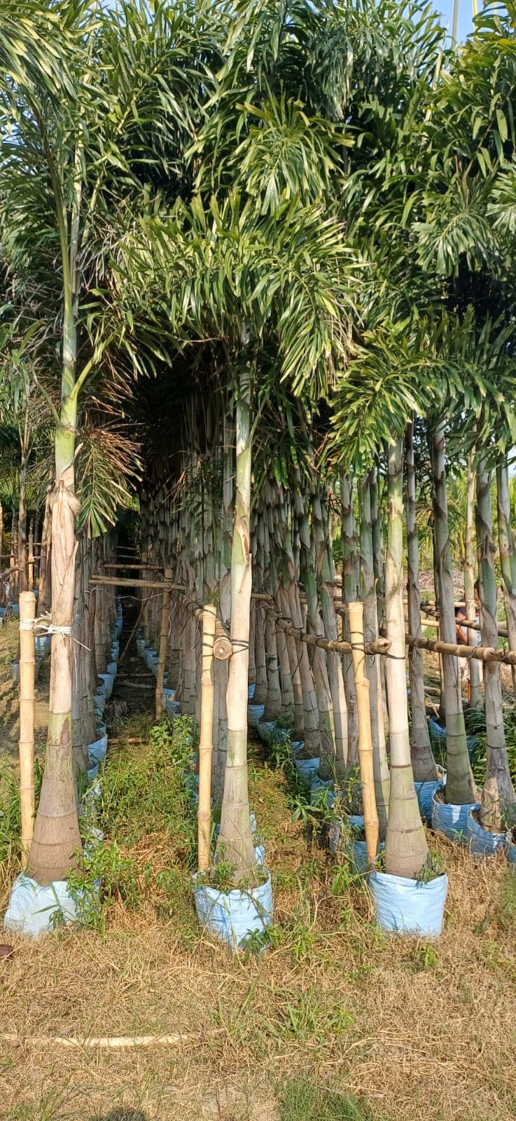Landscape Sourcing Yard